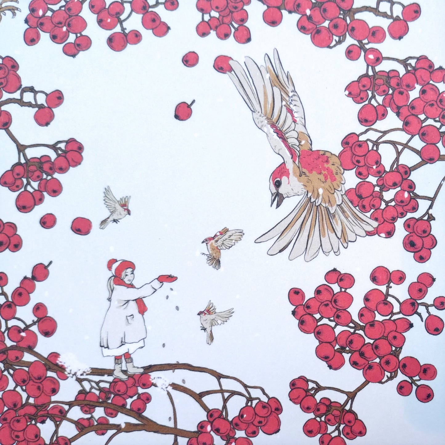 Card - girl feeding birds, red berries, white background