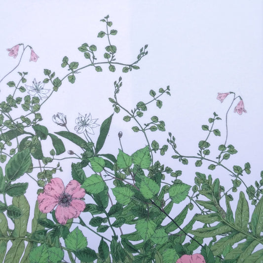 Card - pink flowers with greens and white background