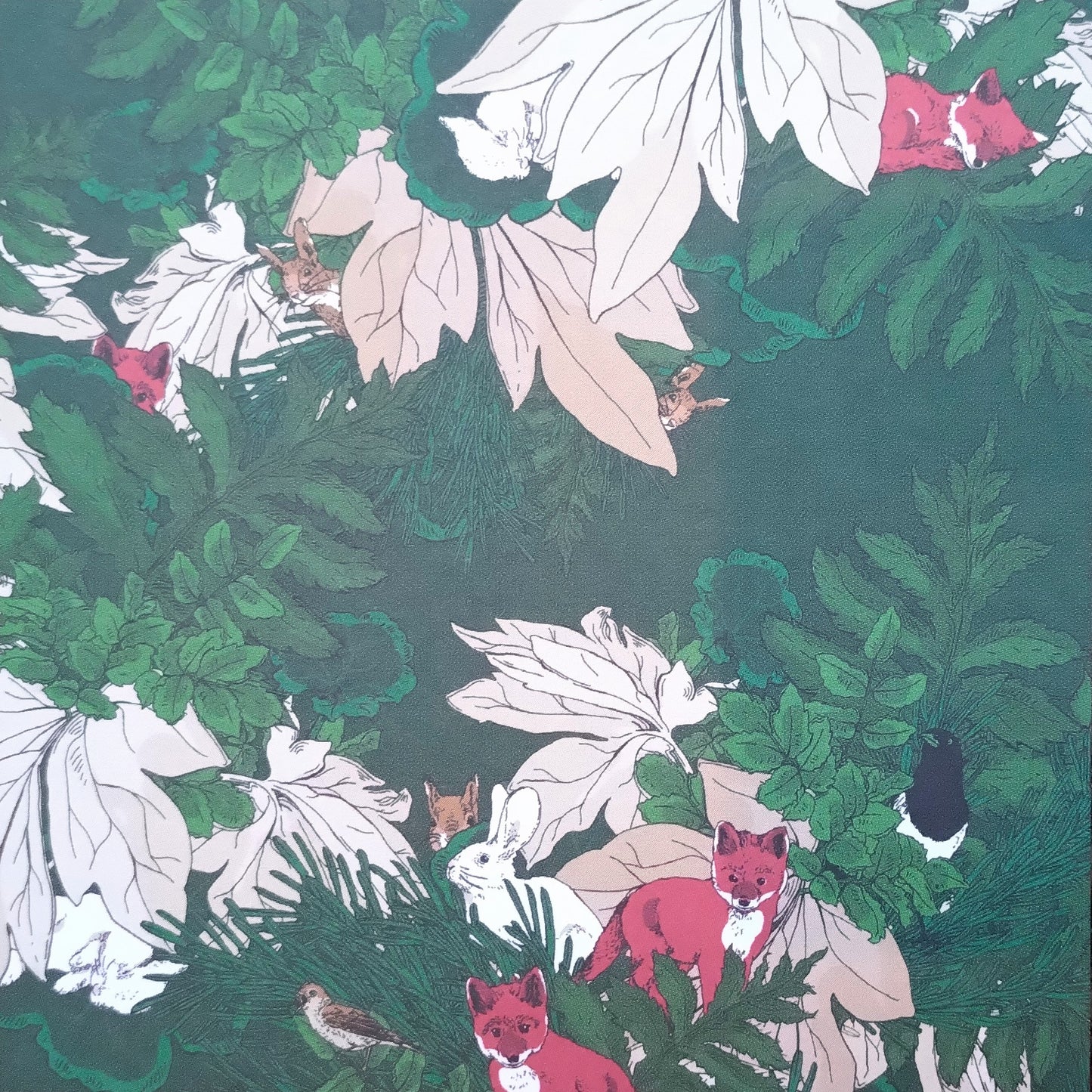 Card - Forest green with foxes, rabbits and birds