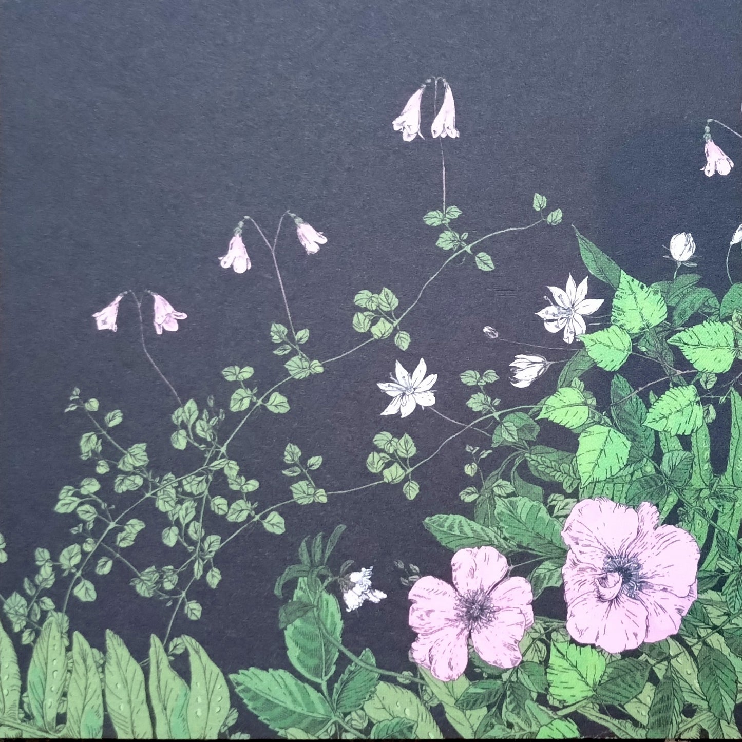 Card - midnight gardsn, pink and green flowers with black background