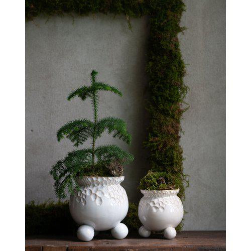 ANYA POT CREAM - Wikholm Form