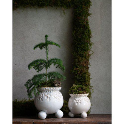 ANYA POT CREAM - Wikholm Form