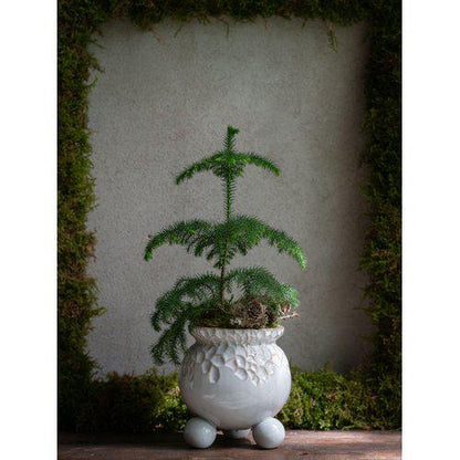 ANYA POT CREAM - Wikholm Form